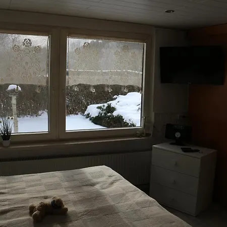 Am * شفيلوشسي