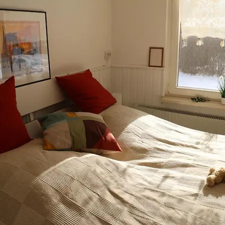 Am * شفيلوشسي